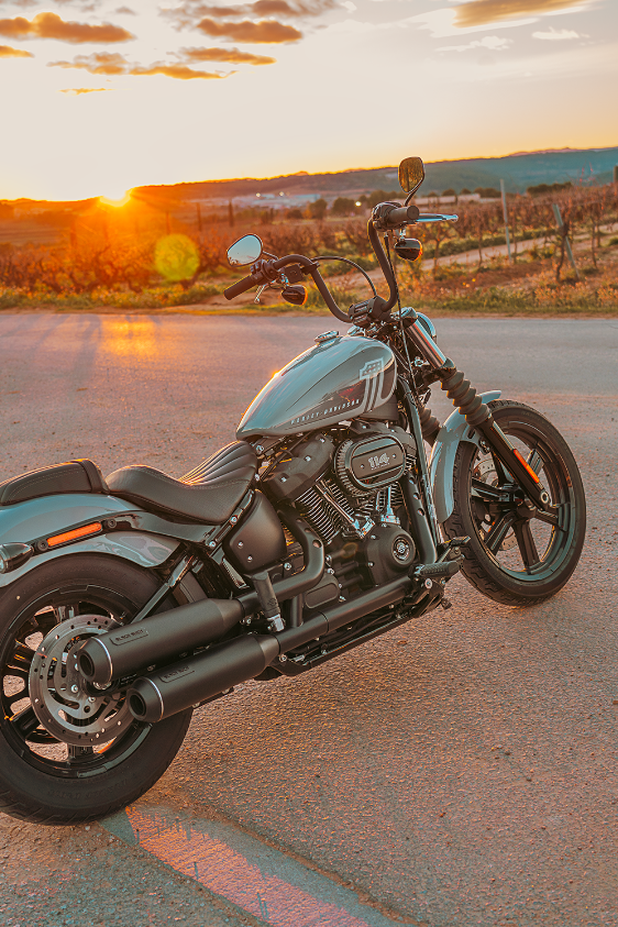 Harley-Davidson Softail with Black Duck Tech Bombardier 2+2 exhausts in black finish at sunset on a road near vineyards